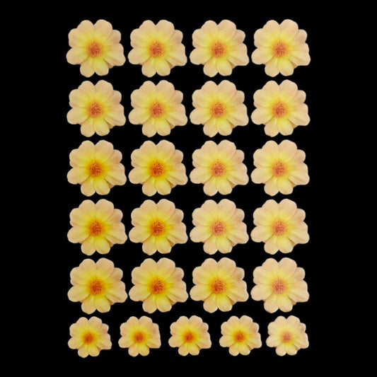 Uv Sheet-31