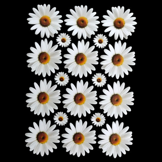 Uv Sheet-37