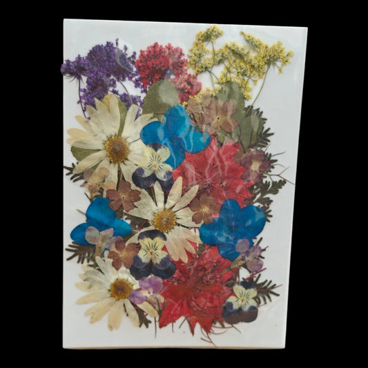 Pressed Flower _43