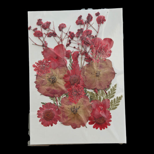 Pressed Flower _49