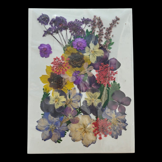 Pressed Flower _23