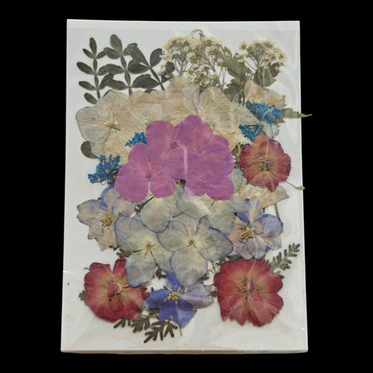 Pressed Flower _26