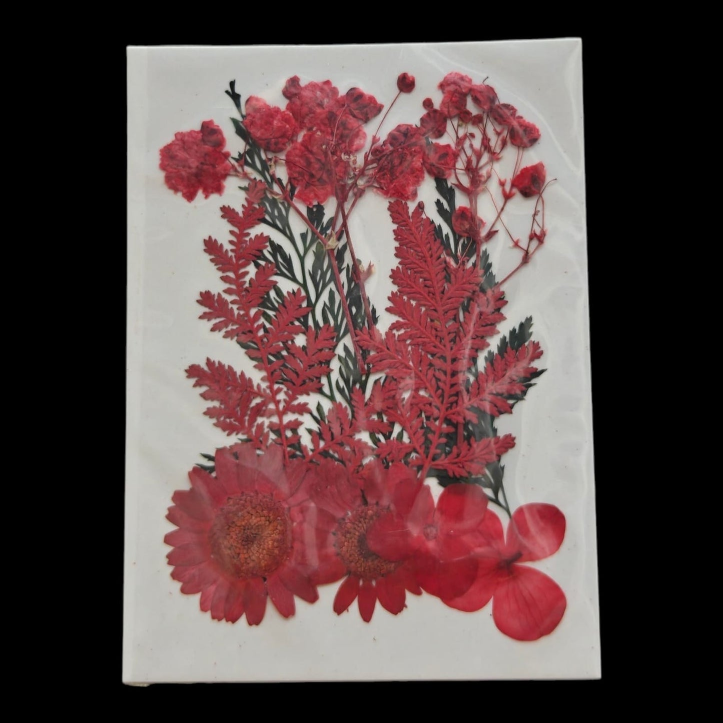 Pressed Flower _16