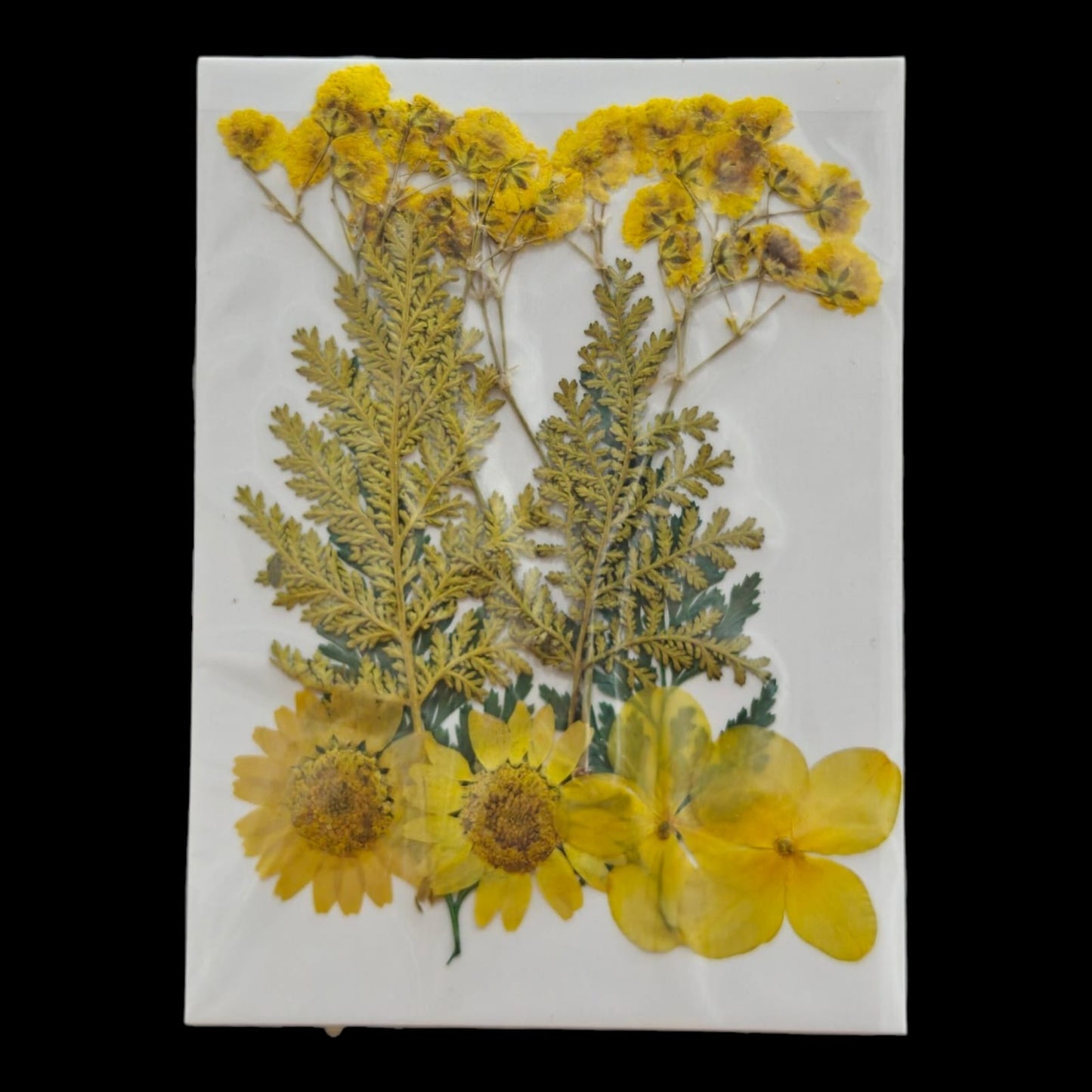 Pressed Flower _07