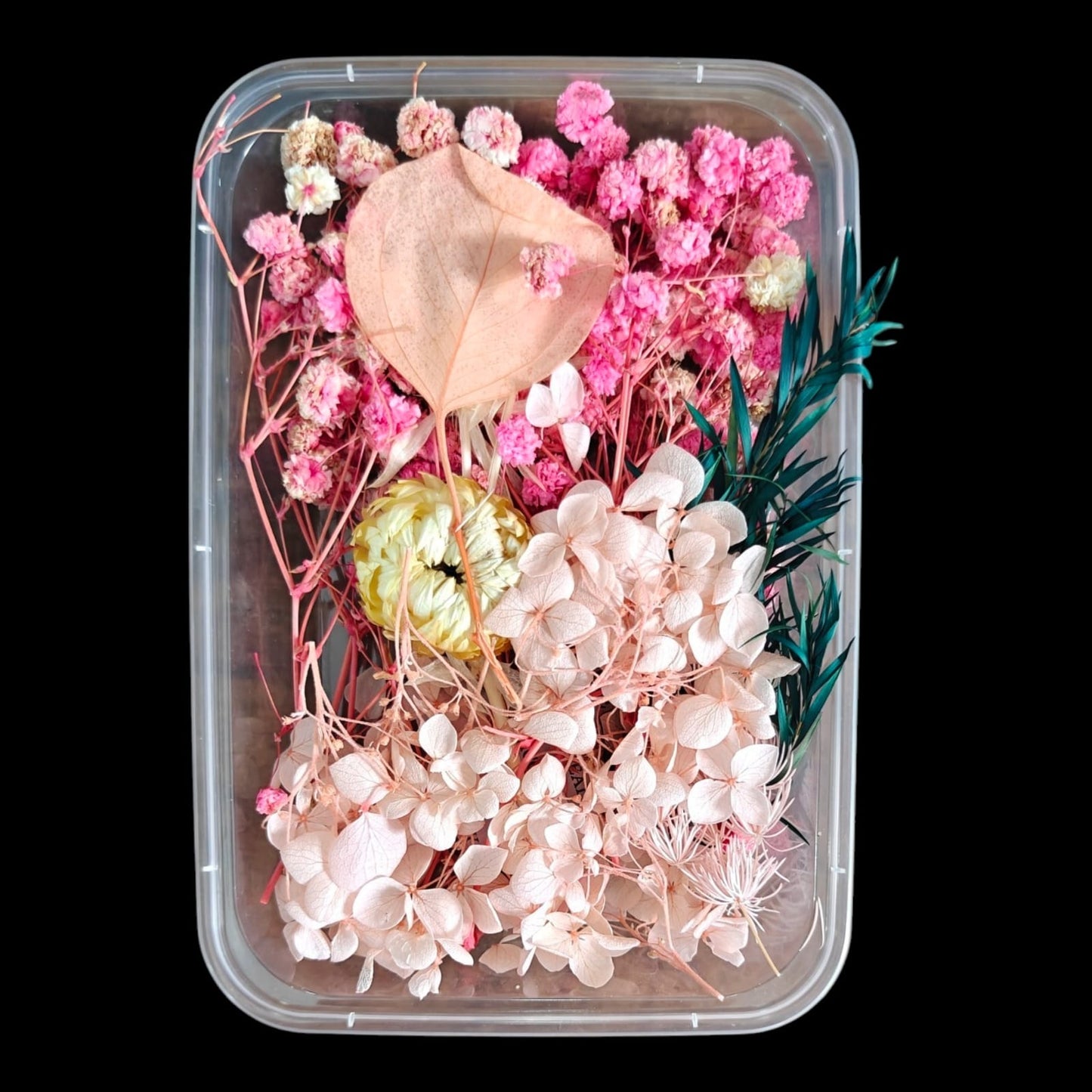 Dry Flower Box-3