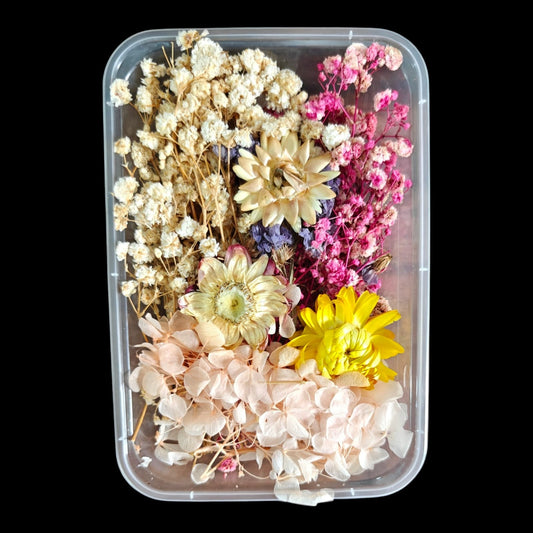 Dry Flower Box-4