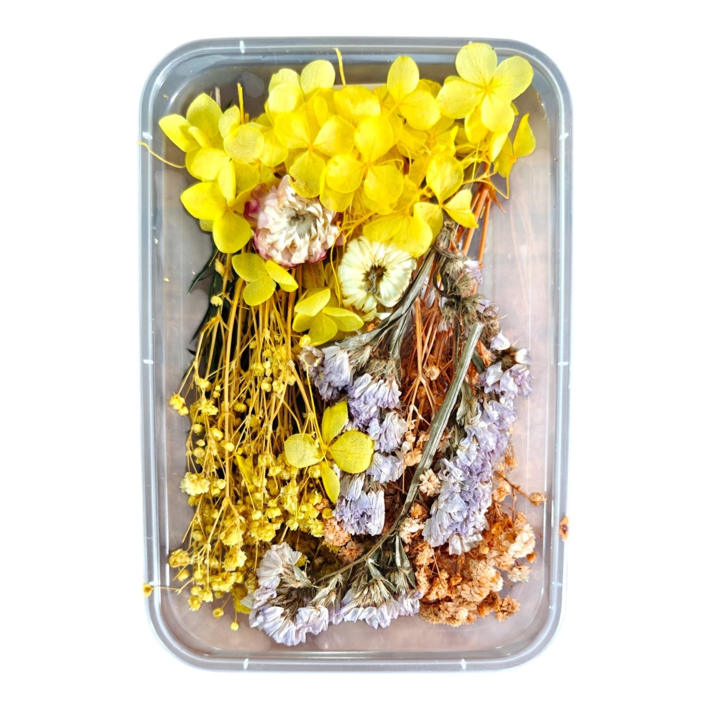 Dry Flower Box-6