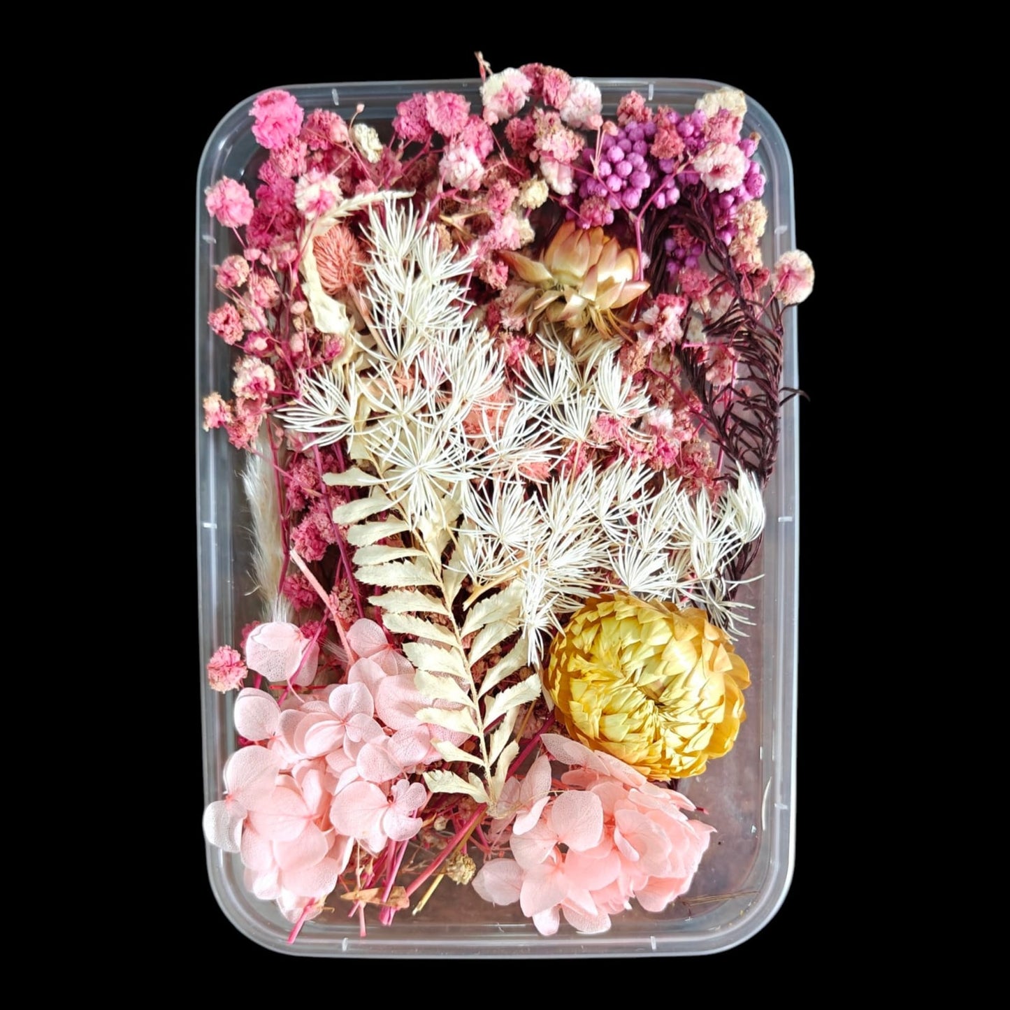 Dry Flower Box-8