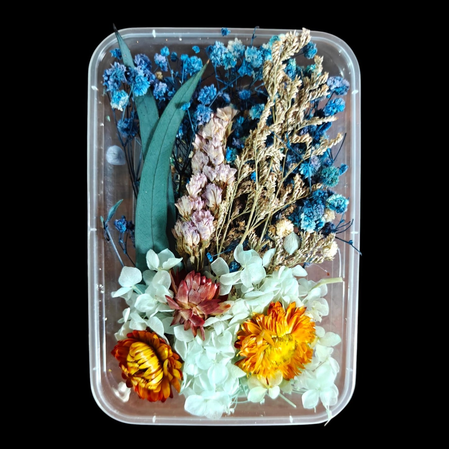 Dry Flower Box-15