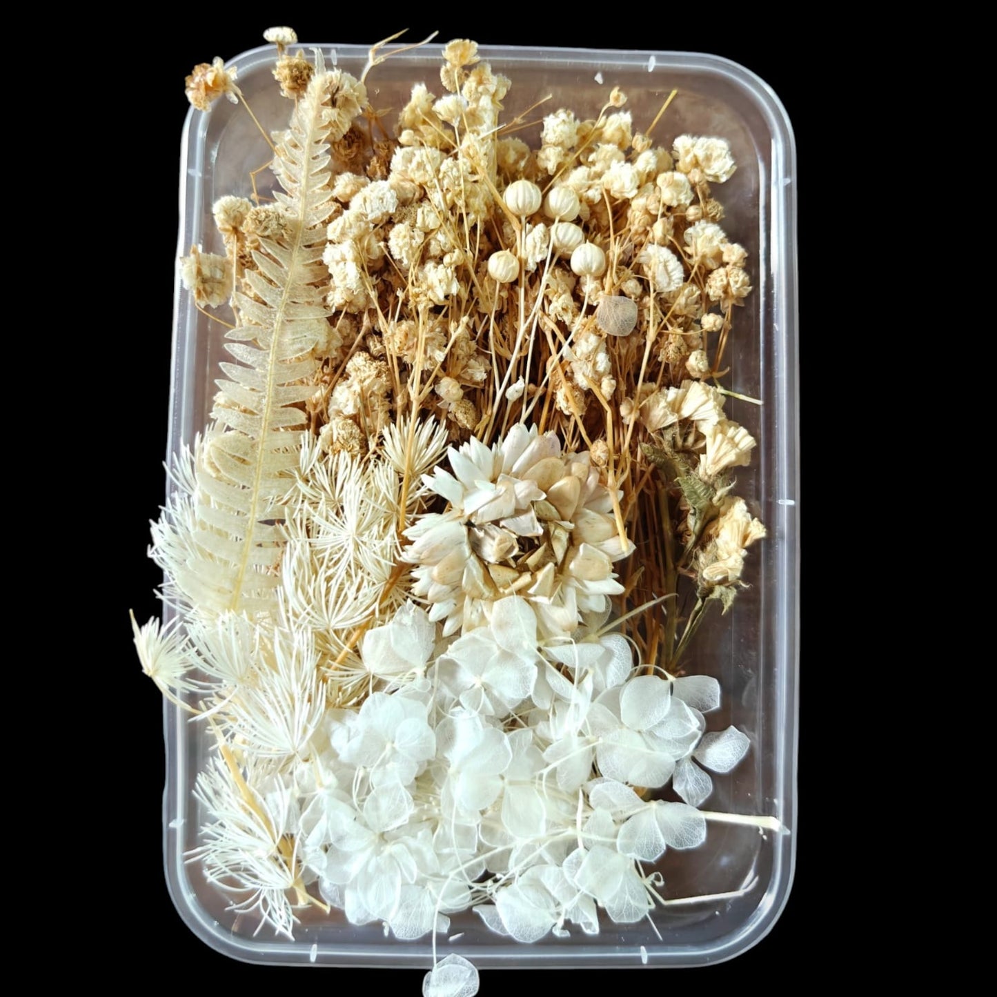 Dry Flower Box-18