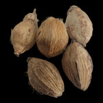 Small Nariyal