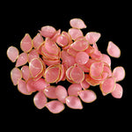 Petals_31