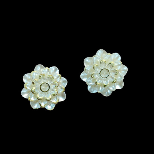 White pearl Flower