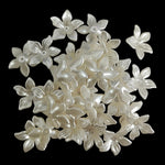Petal Flowers_27