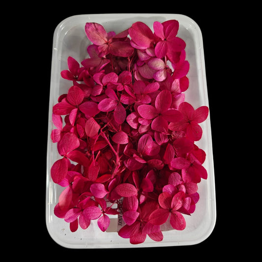 Hydrangea flower box-15
