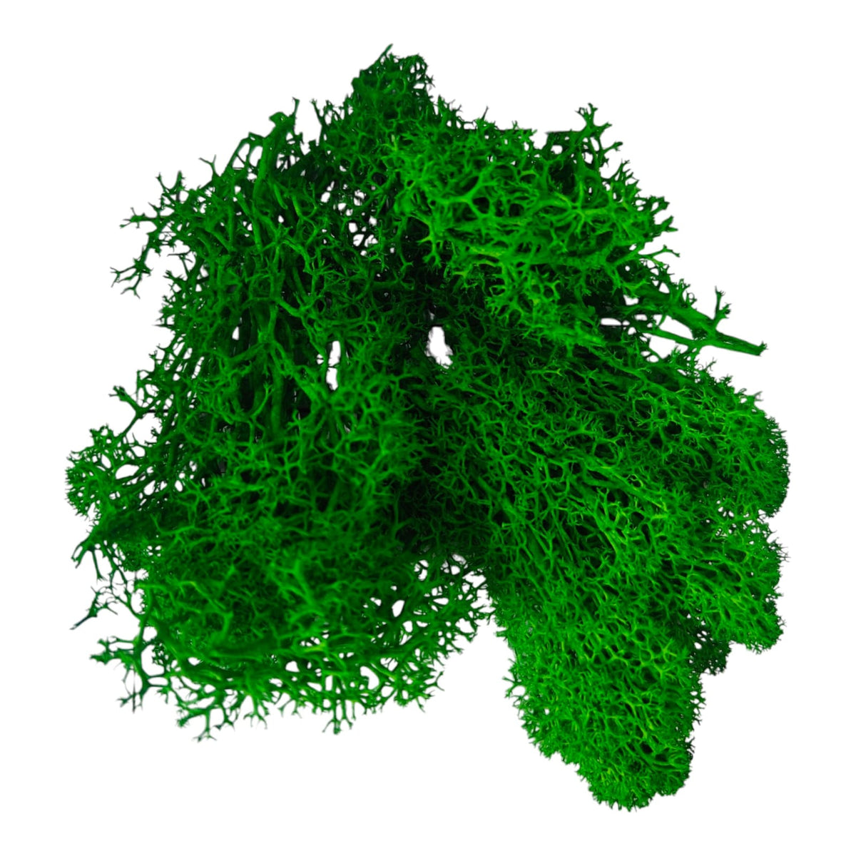 Moss grass - Emerald Green