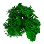 Moss grass - Emerald Green