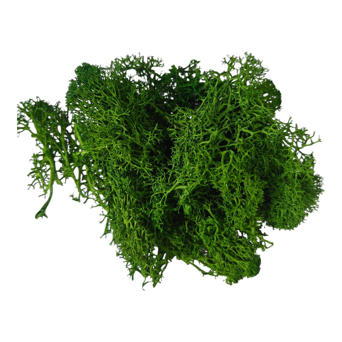 moss grass - Dark Green