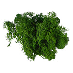 moss grass - Dark Green