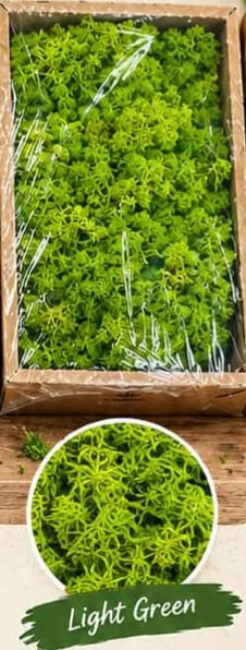 Moss grass - Light Green