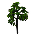 Tree_101