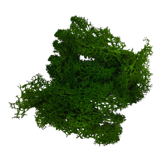 moss grass - Dark Green