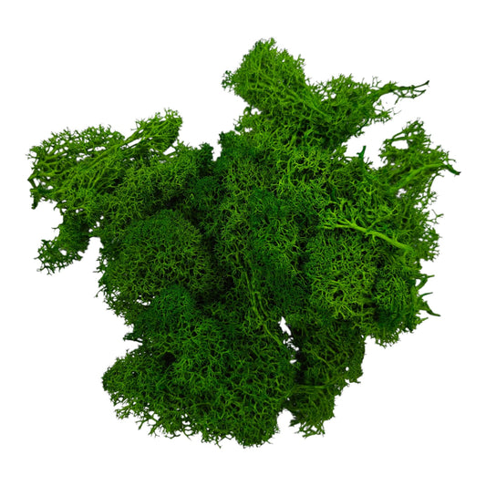 Moss grass - Medium Green