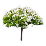 Tree_123