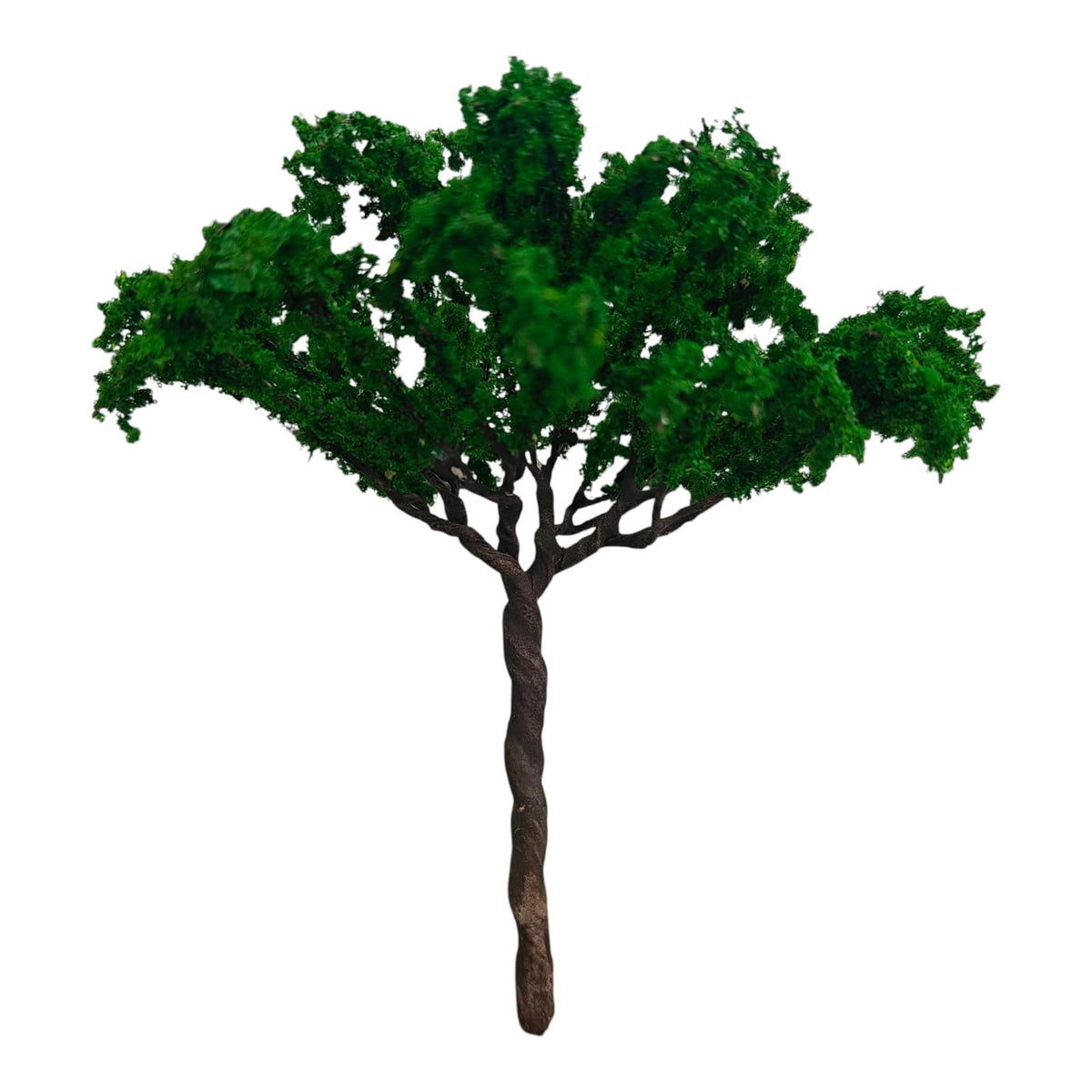 Big Tree_08