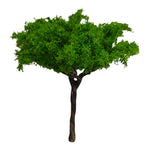 Big Tree_10