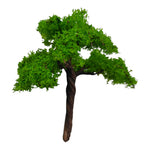 Big Tree_12