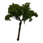 Big Tree_14