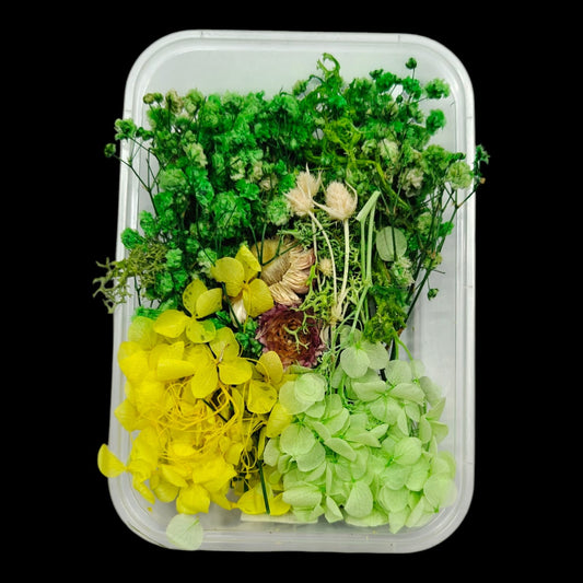 Dry Flower Box-7