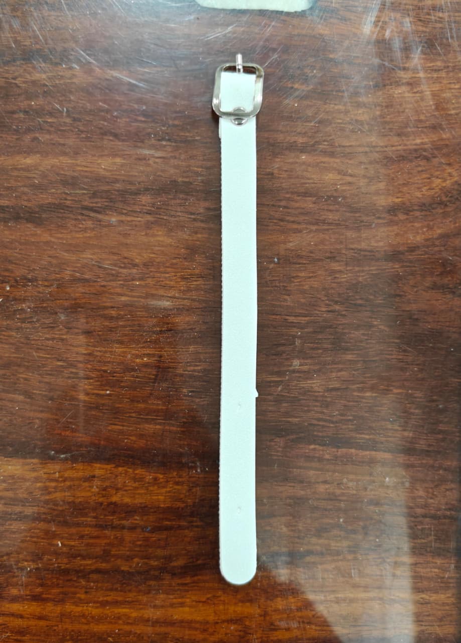 Luggage Belt