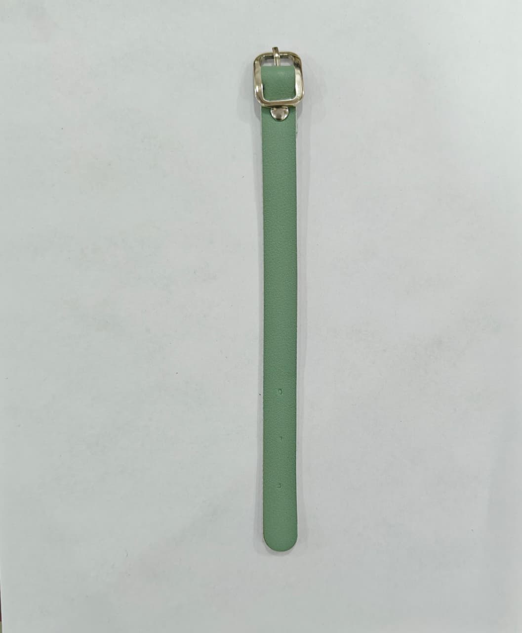 Luggage Belt