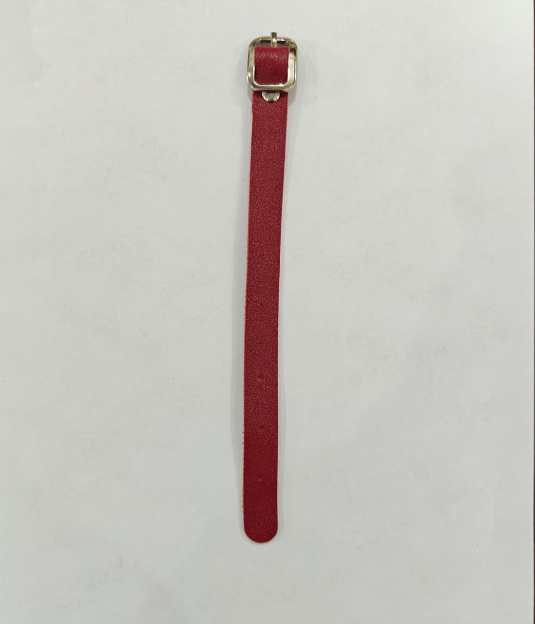 Luggage Belt