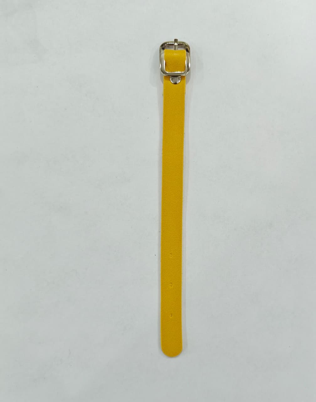 Luggage Belt