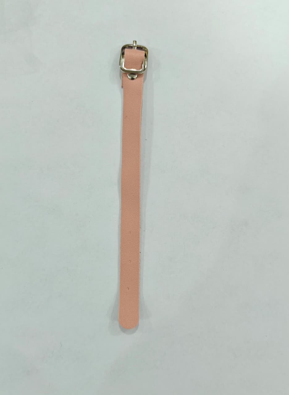 Luggage Belt