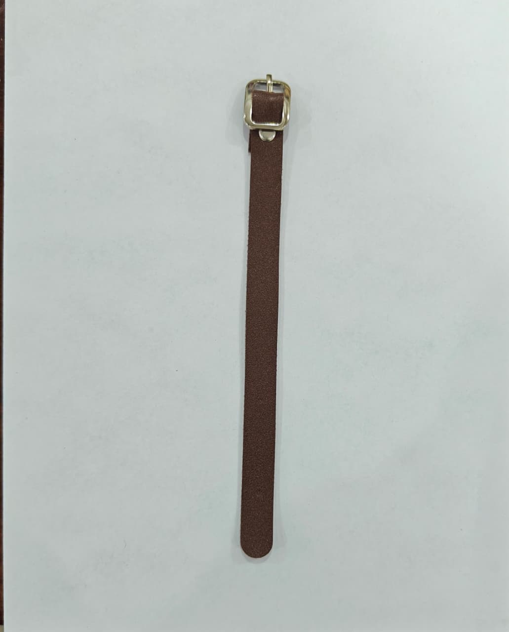 Luggage Belt