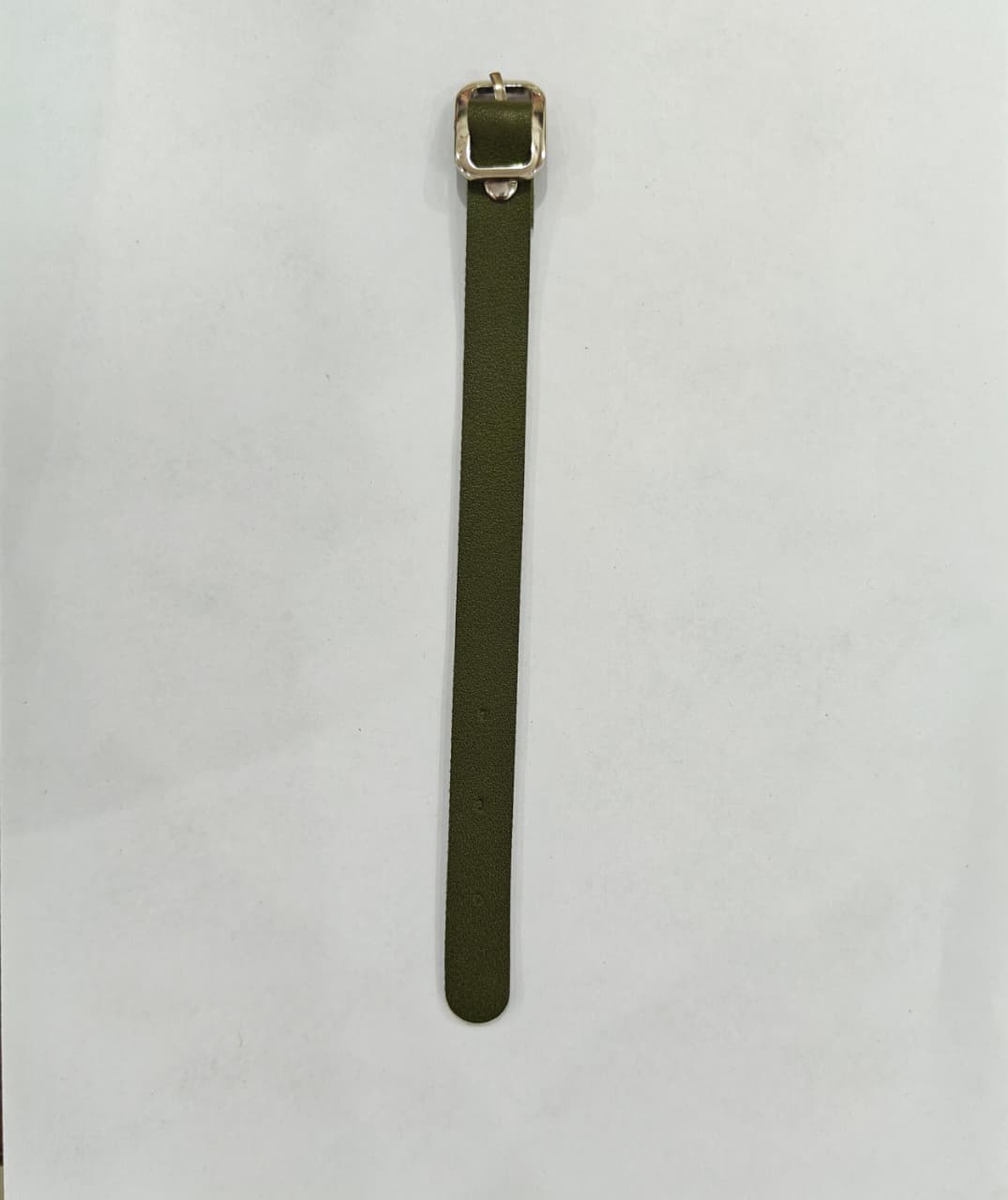 Luggage Belt