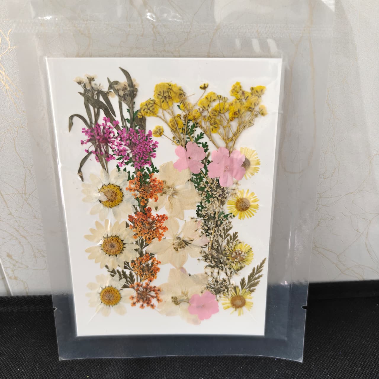 Pressed Flower _47