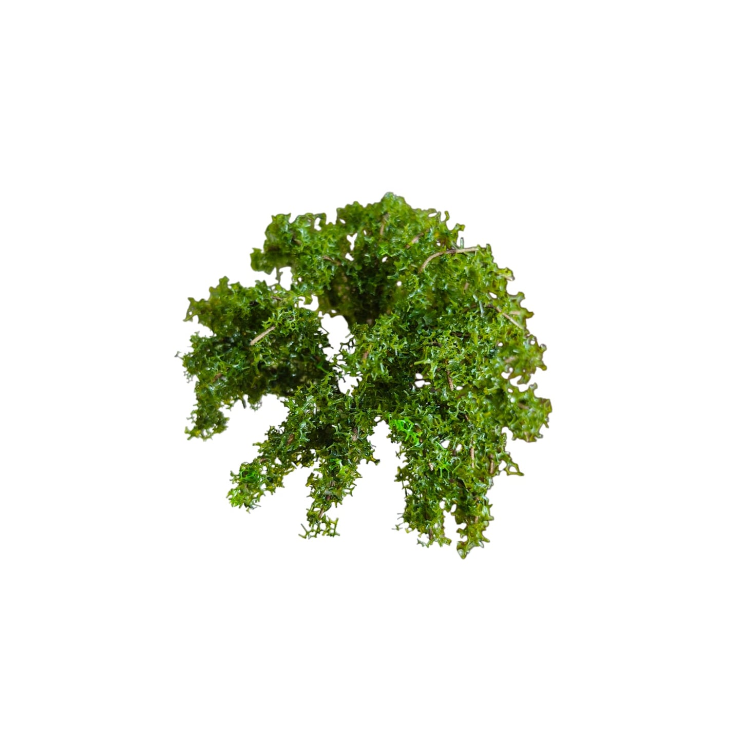 Kekar Tree