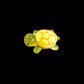 Glowing Turtle