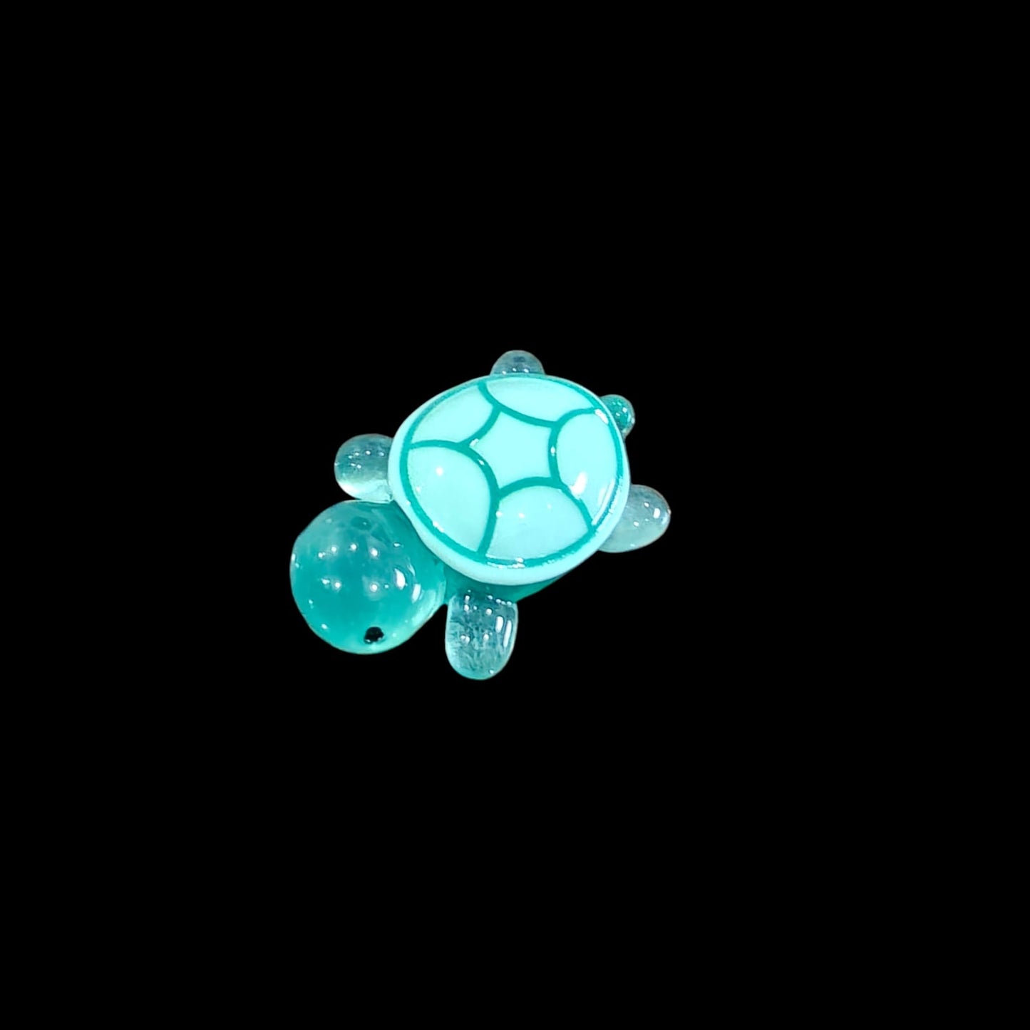 Glowing Turtle