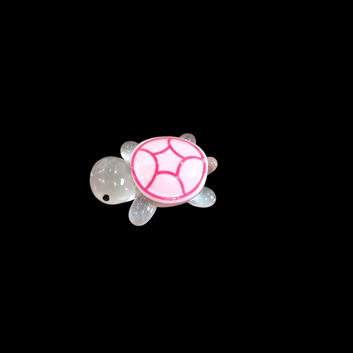Glowing Turtle