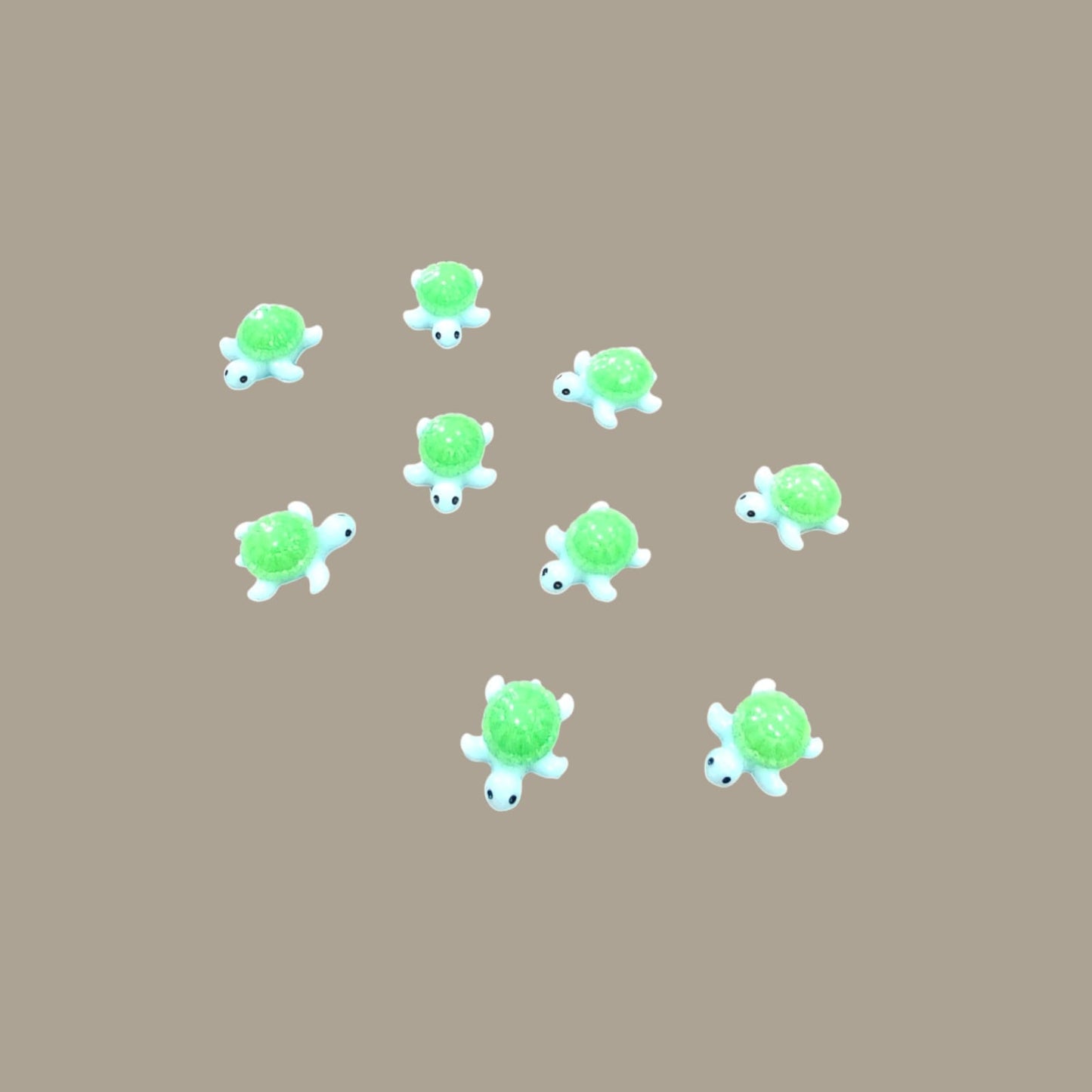 Tiny Turtle