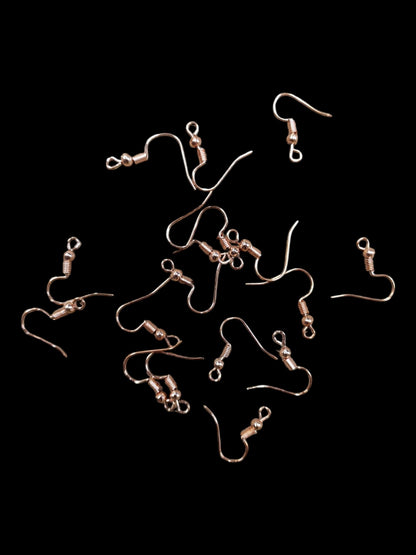 Earing Hooks