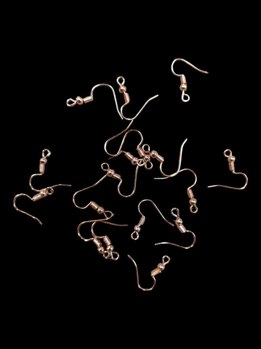 Earing Hooks