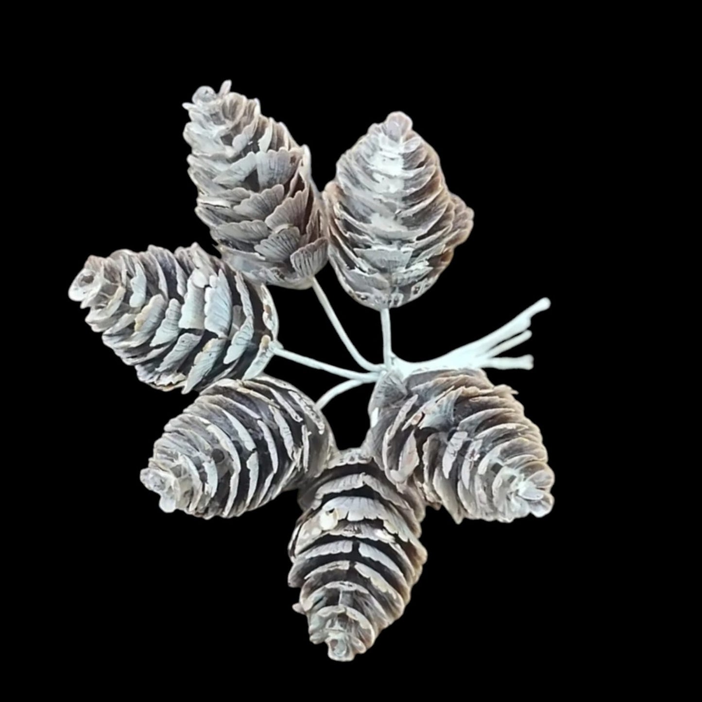 Artificial Pincone Bunch-1