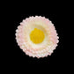 Artificial Flower_13